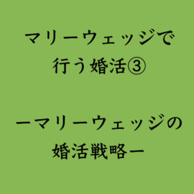 婚活・お見合い・結婚相談所、マリーウェッジのブログ、結婚相談所の中の「マリーウェッジで行う婚活③」
